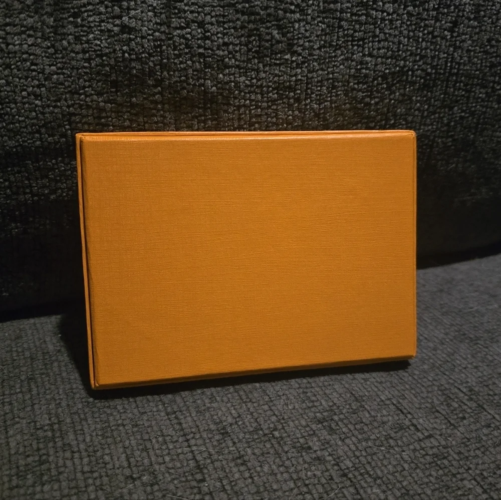 Louis Vuitton elegant louis